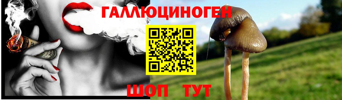 Галлюциногенные грибы MAGIC MUSHROOMS  Вход с VPN  Галлюциногенные грибы Cubensis  Серпухов 